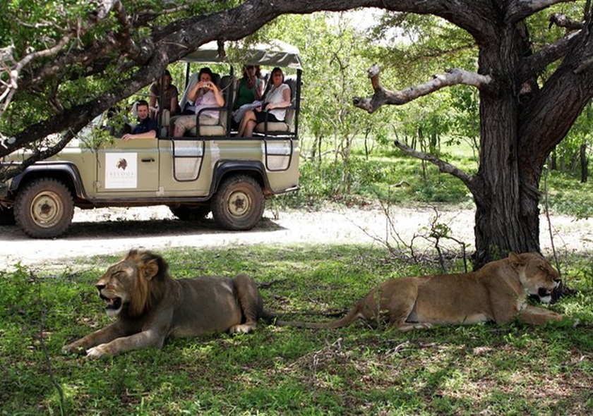 2 Days 1 Night Tarangire + Ngorongoro Safari